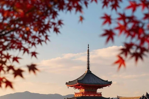 Tokyo: Kyoto & Nara Private Tour with Hotel Pickup