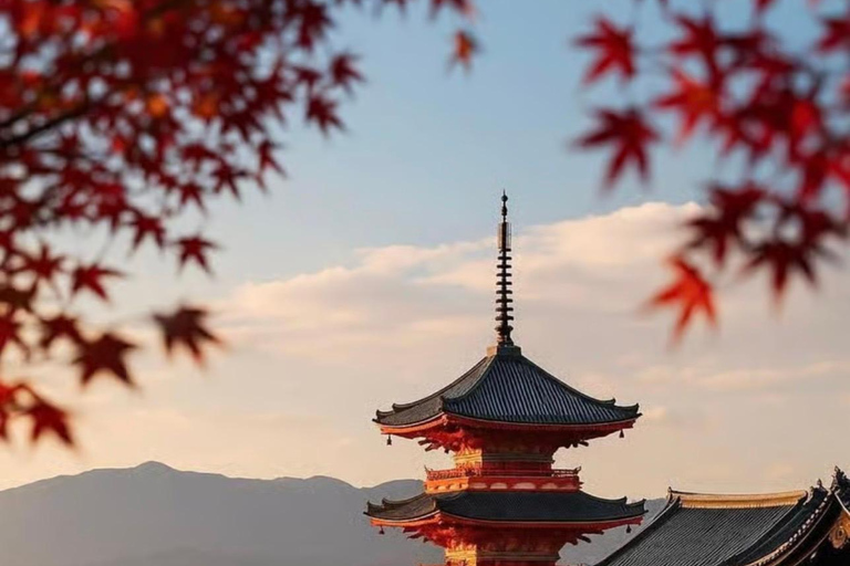 Tokyo: Kyoto & Nara Private Tour with Hotel Pickup