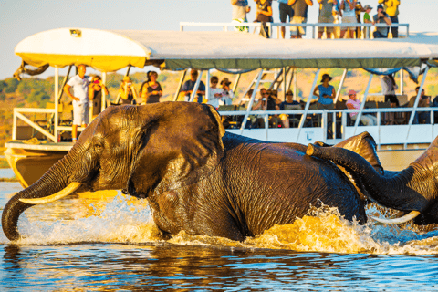 From Windhoek: 6-Day Namibia Safari with Lodging & Meals
