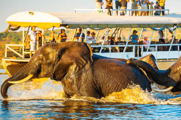 From Windhoek: 6-Day Namibia Safari with Lodging & Meals