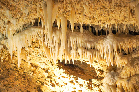Barbados: Harrison’s Cave &amp; Hunte’s Gardens Tour