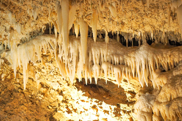 Barbados: Harrison’s Cave &amp; Hunte’s Gardens Tour