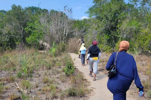 Diani: Guided day trip to Shimba Hills Reserve with lunch