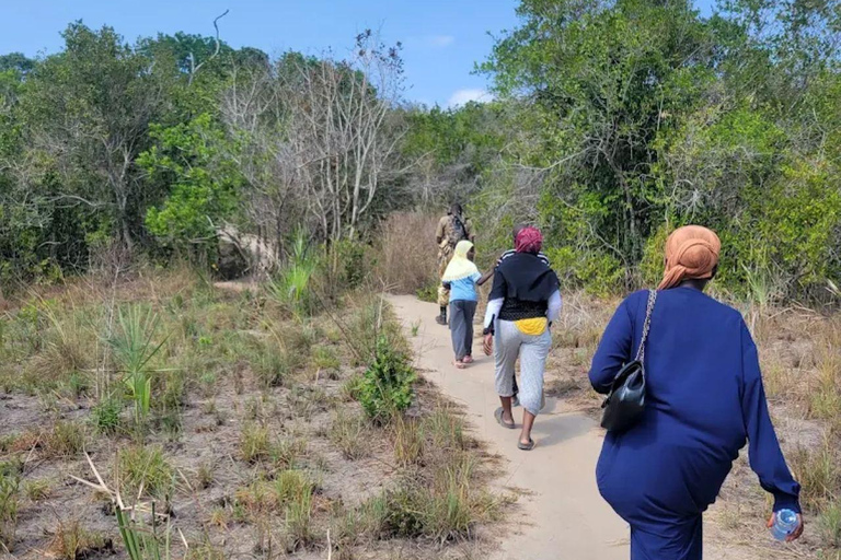 Diani: Guided day trip to Shimba Hills Reserve with lunch