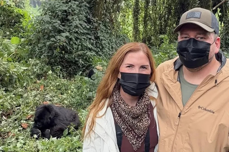 Kigali: Volcanoes Gorilla Trekking & Lake Ruhondo Boat Ride Kigali: Gorilla in Trekking Volcanoes National Park Only