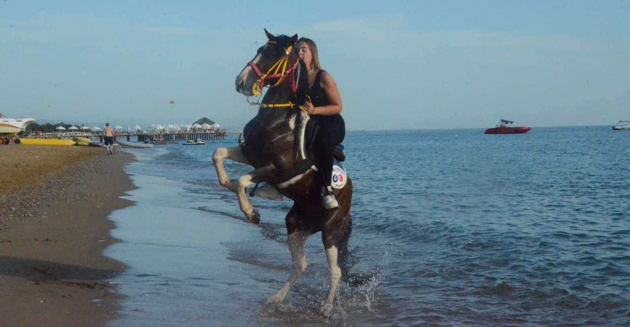 Manavgat/City of Side, Horse Riding by the Beach or Forest - Housity