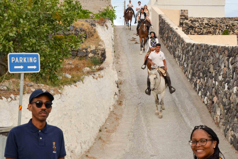 Santorini Highlights Tour with Wine Tasting option Classic Highlights