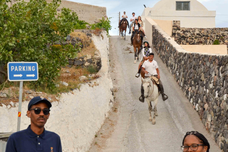 Santorini Highlights Tour with Wine Tasting option Classic Highlights