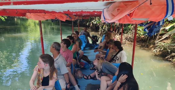 Mangrove boat tour in Manuel Antonio with Wildlife Viewing