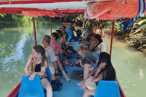 Manuel Antonio : tour en bateau dans la mangrove avec observation de la faune