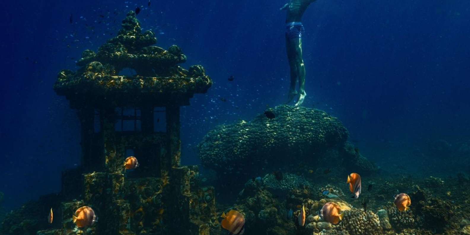 Bali snorkeling tour — underwater marine life and coral reefs — image 8