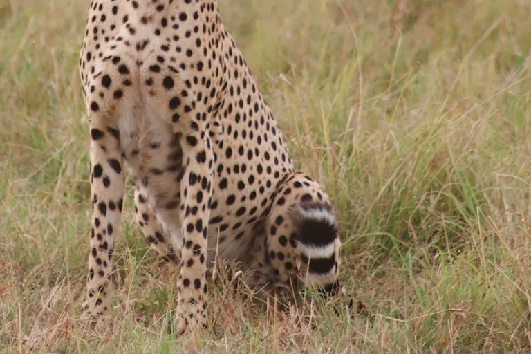 Mombasa/Diani: Taita Hills 2-Day Safari with Meals & Pickup