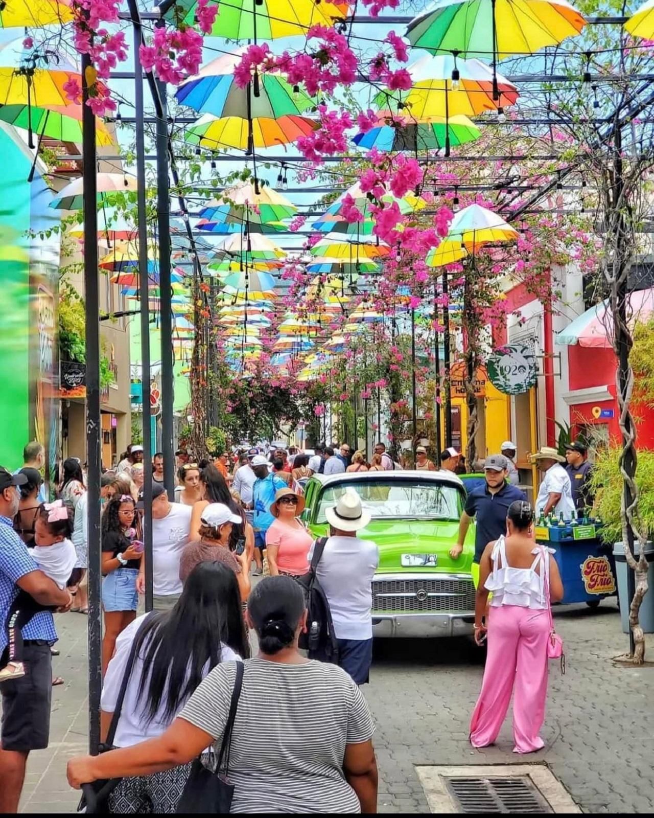 Puerto Plata: Landschaft, Schmetterlingsfarm und Affenbeobachtung