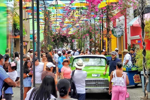 Puerto Plata: City Tour, Plantation, and Chocolate Factory