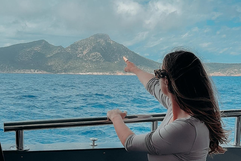 Majorca: Visit the Natural Park of Dragonera Island by boat