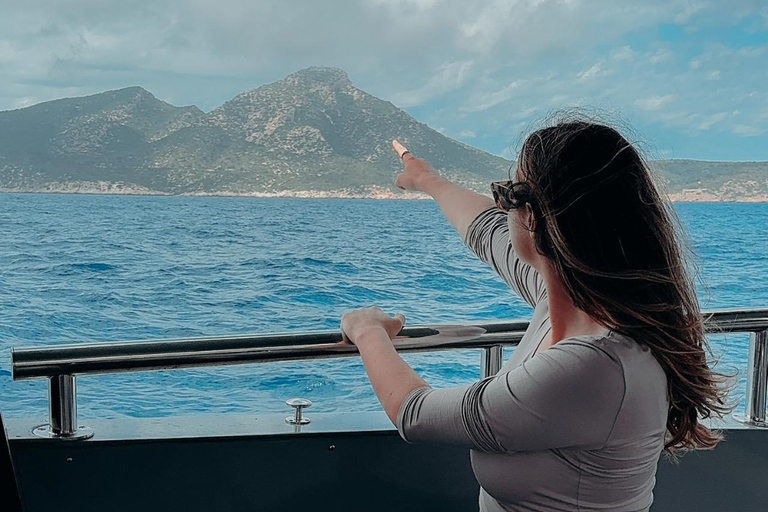 Majorca: Visit the Natural Park of Dragonera Island by boat