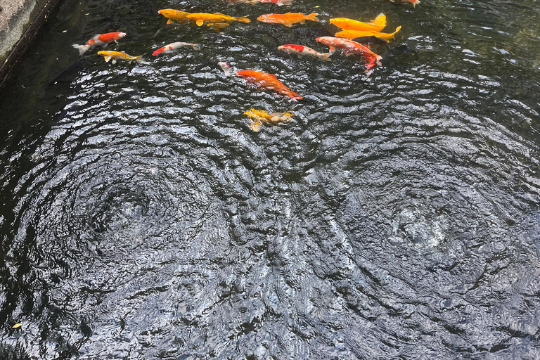 Shanghai: Zhujiajiao Waterstad met kalligrafie-ervaring