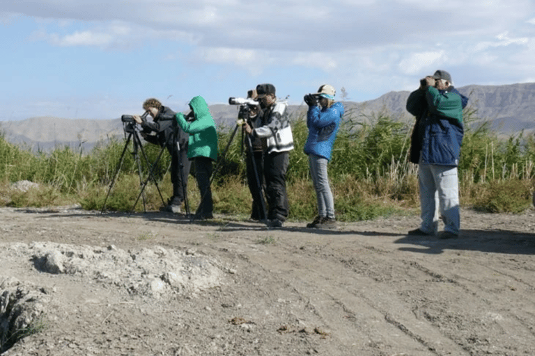 Yerevan: Private Birdwatching Experience