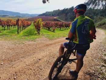 Óbidos : visite en vélo électrique à la Quinta do Gradil avec dégustation de vins