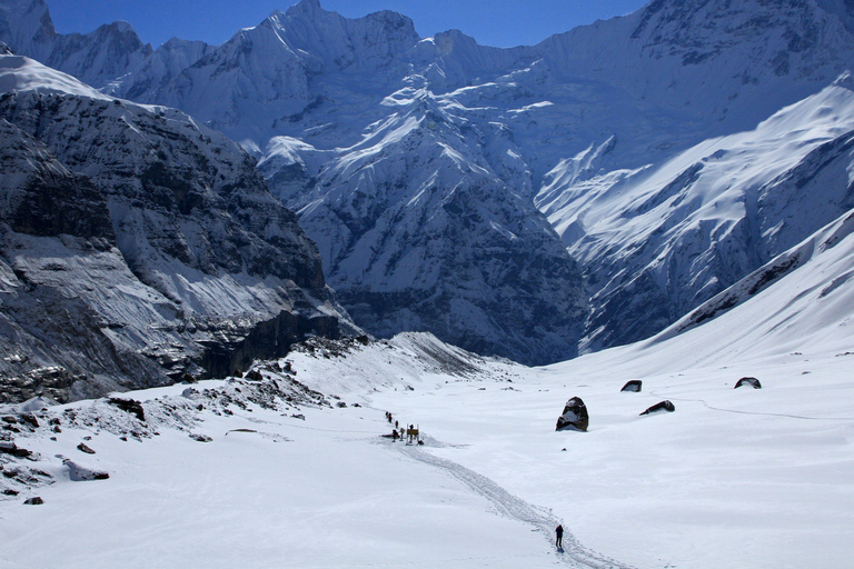 Trek du camp de base de l&#039;Annapurna : 5 jours au départ de PokharaPokhara : 5 jours de trekking au camp de base de l&#039;Annapurna avec guide