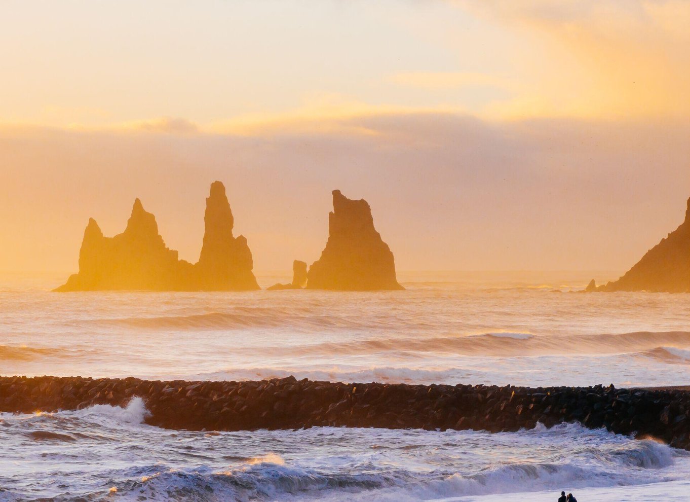 Island: Heldagstur til sydkysten, den sorte strand og vandfald