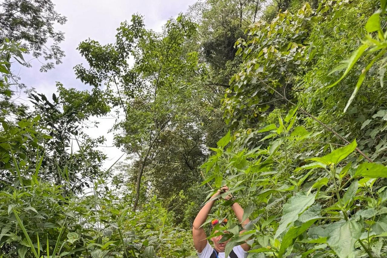 Kandy: Sir James Taylor’s Loolkandura Tea Heritage Hike