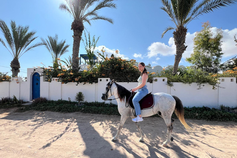 Djerba : Leçon d&#039;équitation pour adultes et enfants.