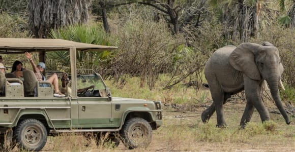 2 Day Zanzibar to Nyerere NP (Selous GR) By Flight