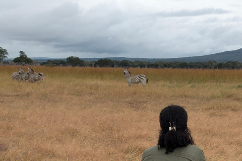 Arusha: 4 giorni di safari nel Serengeti e nel cratere del NgorongoroSafari privato