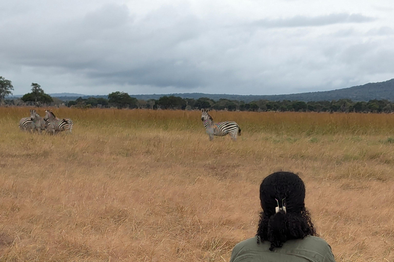 Arusha: 4 giorni di safari nel Serengeti e nel cratere del NgorongoroSafari privato