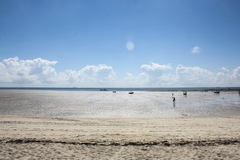 Safari na wybrzeżu Kenii: Mombasa, Shimba Hills i Tsavos