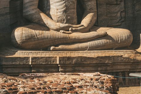 Sigiriya: Polonnaruwa City Tour & Ethical Minneriya Safari Sigiriya: Polonnaruwa Heritage Tour & Elephant Safari
