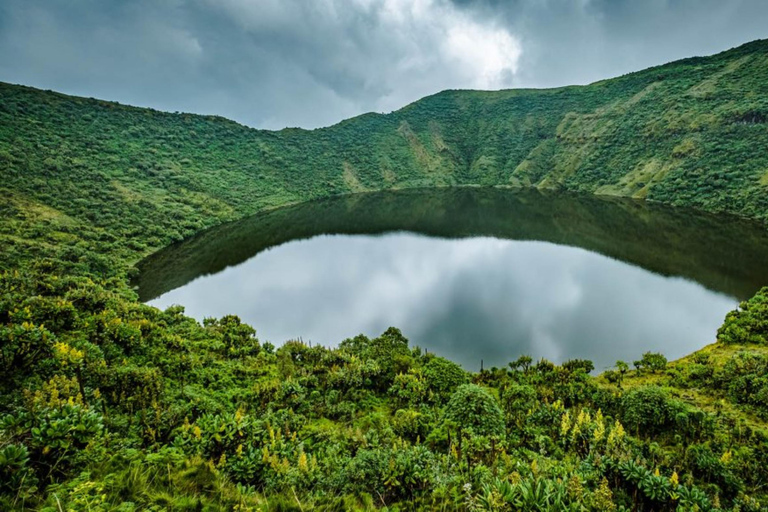 Wandeling naar Mount Bisoke in het Vulcanoes National Park