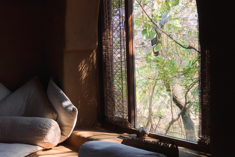 Delhi: Hidden-Gem Nature Oasis & Mudhouse Visit with Lunch