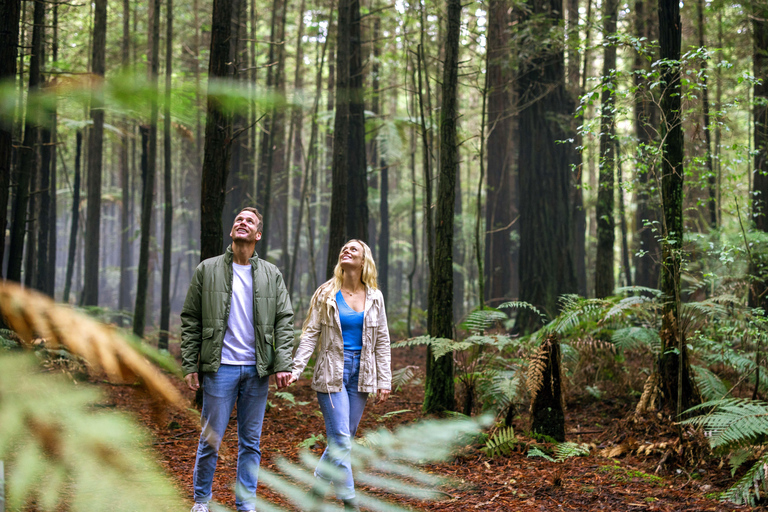 Da Auckland:Hell&#039;s Gate Mud Bath e Rotorua Highlights Tour