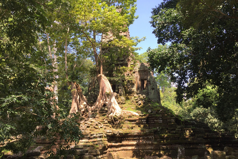 Siem Reap: tour guidato della città di Angkor Thom di 4 ore