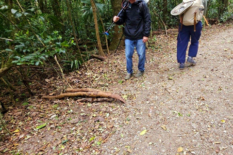 Monteverde: Cloud Forest Night Tour with Pablo
