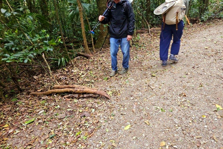 Monteverde: Cloud Forest Night Tour with Pablo