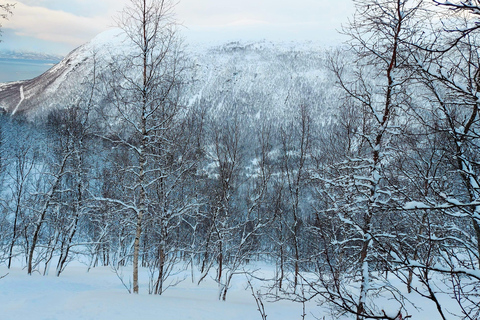 Tromsø Street to Wilderness: Guided Snowshoe Hike