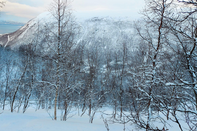 Tromsø Street to Wilderness: Guided Snowshoe Hike