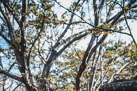 Moshi: Chemka Hot Springs Day Trip with Accommodation Pickup