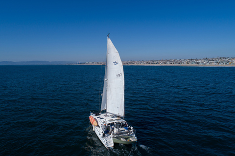 Marina Del Rey: 2 uur privé catamarantour door de jachthaven