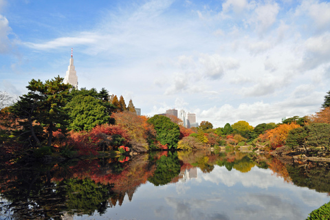 Tokyo: Shinjuku Gyoen National Garden Entry Ticket