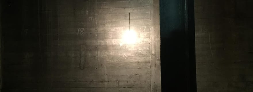 Louis : Visite sur les fantômes du quartier hanté de Lemp