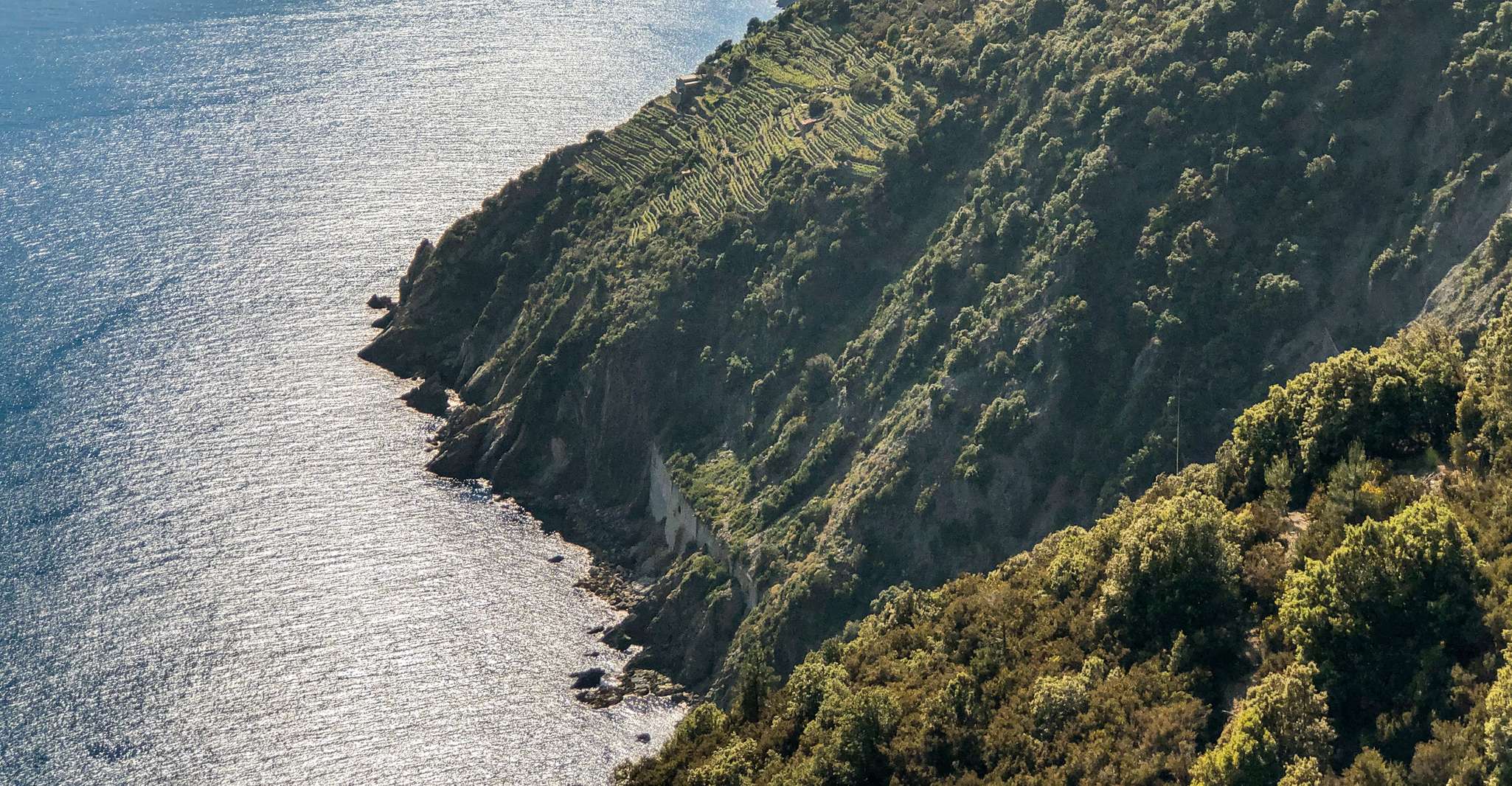 From La Spezia, Cinque Terre Boat Tour - Housity