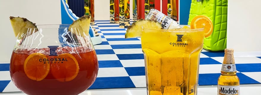 Houston : billet d'entrée au Colossal Museum