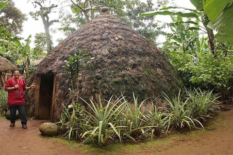 Arusha : excursion d&#039;une journée à Cofee, aux chutes de Materuni et aux sources d&#039;eau chaude de Chemka