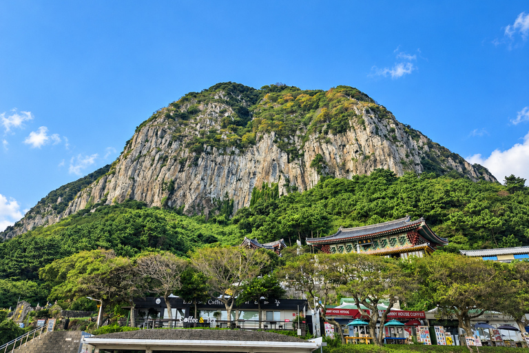 Jeju: Cruise Shore Excursion with Guaranteed Return Gangjeong Port: Tea Fields, Sanbangsan & Gardens