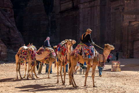 De Amã: Viagem privada de 2 dias a Petra, Wadi Rum e Mar MortoTransporte e acomodação