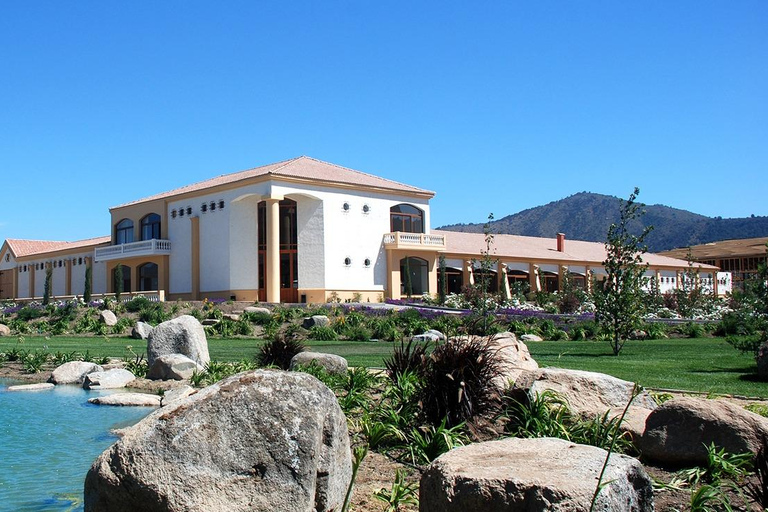 Casablanca: Private Wine Tour at Estancia El Cuadro, Valparaíso, Viña del Mar